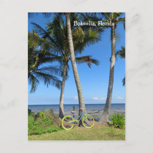 Pastell cykel hav Florida vykort