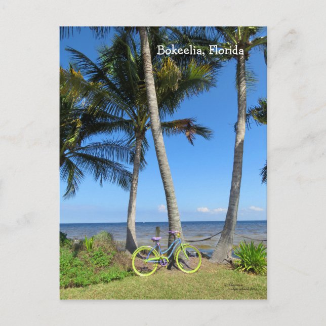 Pastell cykel hav Florida vykort (Framsida)