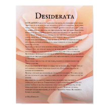Pastell Orange Ros och Desiderata Dikt