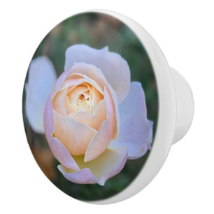 Pastell Rosa Gul Ros Knopp