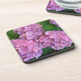 Pastell rosa Hortensia hydrangea blommor    Underlägg