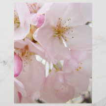 Pastell Rosa Träd Blommar Flyers Papper anpassad