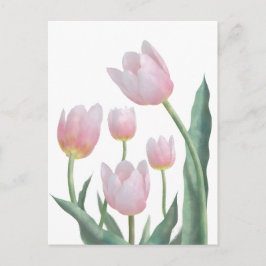 Pastell Tulpan Blommig Design Vykort