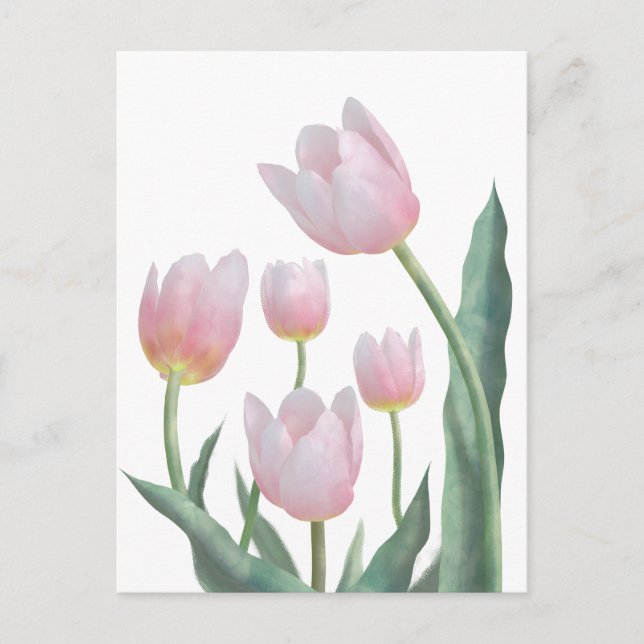 Pastell Tulpan Blommig Design Vykort (Framsida)