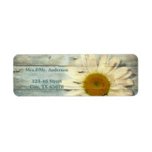 Pastellblå barwood land daisy bröllop