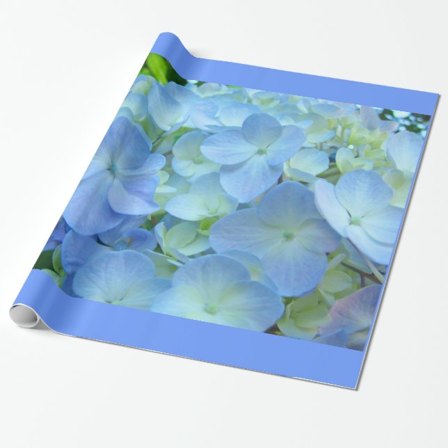 Pastellblå Hydrangea Blommor Presentpapper (Utrullad)