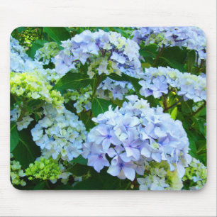 Pastellblå Hydrangea Blommor Trädgårdsmusmatta Musmatta