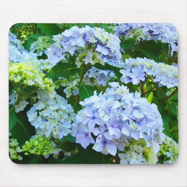 Pastellblå Hydrangea Blommor Trädgårdsmusmatta Musmatta (Framsidan)