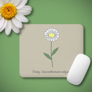 Pastellblomma från botaniska Daisy Musmatta