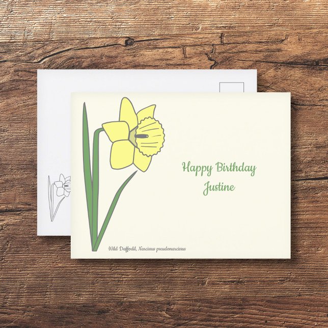 Pastellblomma från botaniska dil vykort (Botanical Daffodil Postcard)