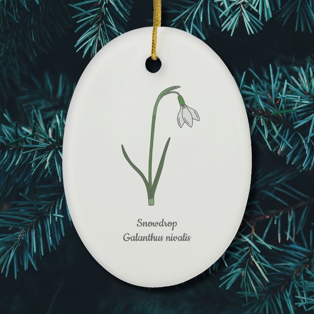 Pastellblomma från botaniska snödroppar julgransprydnad keramik (Botanical Snowdrop Ornament)