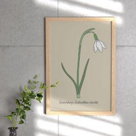 Pastellblomma från botaniska snödroppar poster