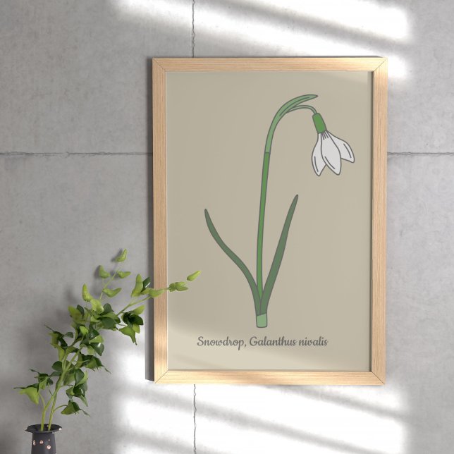 Pastellblomma från botaniska snödroppar poster (Botanical Snowdrop Poster)