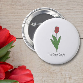 Pastellblomma från Botaniskt rött Tulip Knapp
