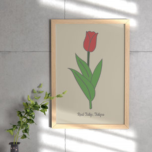 Pastellblomma från Botaniskt rött Tulip Poster