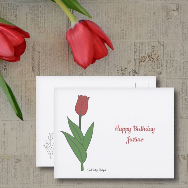 Pastellblomma från Botaniskt rött Tulip Vykort (Botanical Red Tulip Postcard)