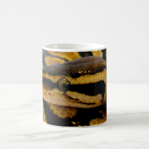 Pastellfärgad bollpytonorm kaffemugg