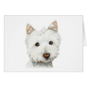 Pastellfärgad Westie hund Hälsningskort