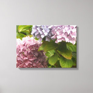 Pastellfärgade Hydrangeor Canvastryck