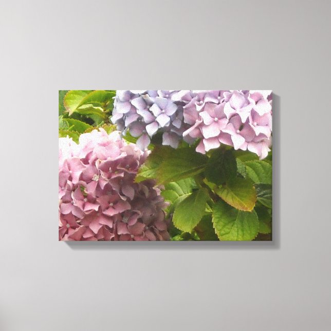 Pastellfärgade Hydrangeor Canvastryck (Framsida)