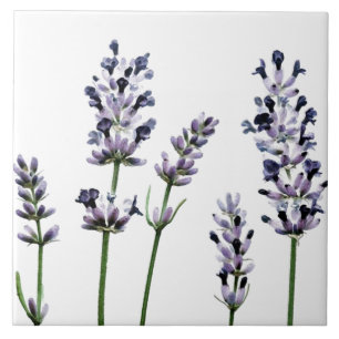 Pastellfärgade Lavendar   purpurfärgade Kakelplatta