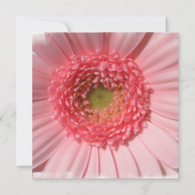 Pastellfärgade rosa daisyinbjudningar inbjudningar (Framsida)