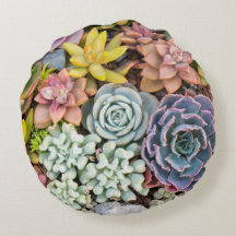 Pastellkrita, Färgad Succulants Plants Round Pillo