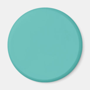 Pastellturkos i fast form magnet