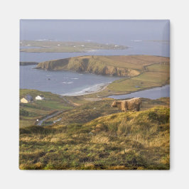 Pastoral Irish Kusten Magnet