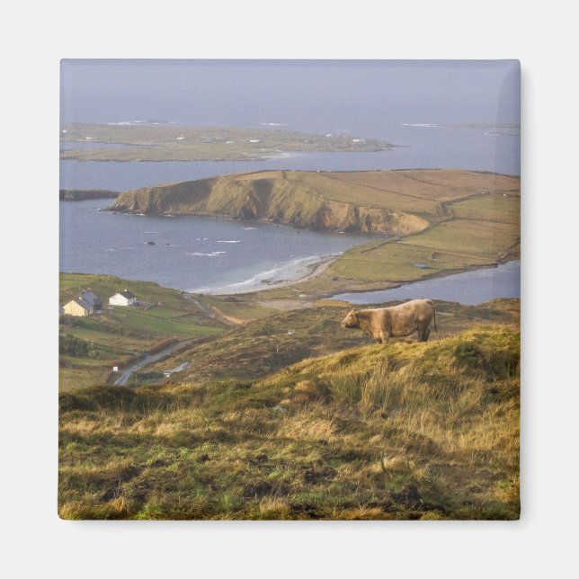 Pastoral Irish Kusten Magnet (Framsidan)