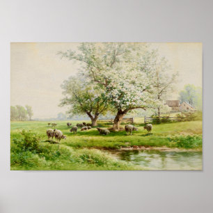 Pastoral Ligcape Carl Weber Fine Art Watercolor Poster