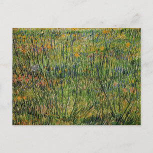 Pasture in Bloom av Vincent van Gogh Vykort
