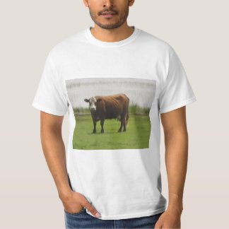 Pasture Mood - t-shirt