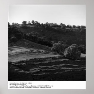Pasture Scene av Ansel Adams Poster