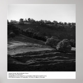 Pasture Scene av Ansel Adams Poster