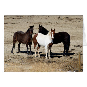 Pasture Trio Hälsningskort