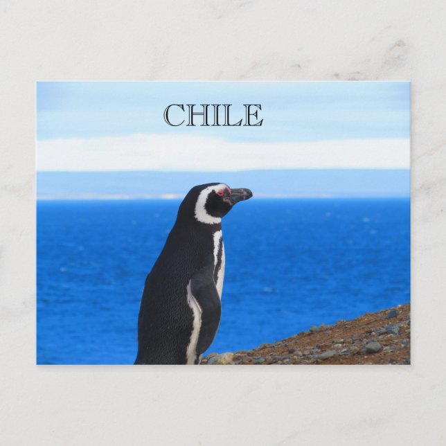 Patagonia Chile Vykort (Framsida)