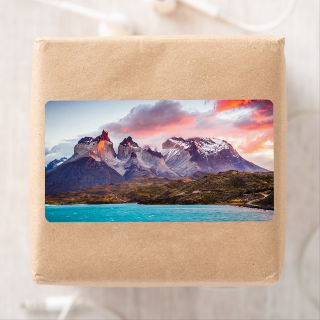 Patagonia Fraktsedel (Insitu)