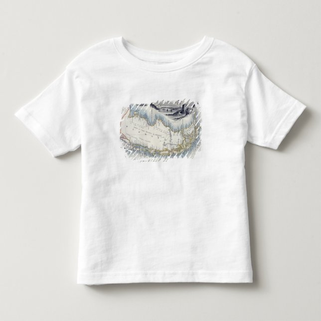 Patagonia från en serie av världen kartlägger tee (Framsida)