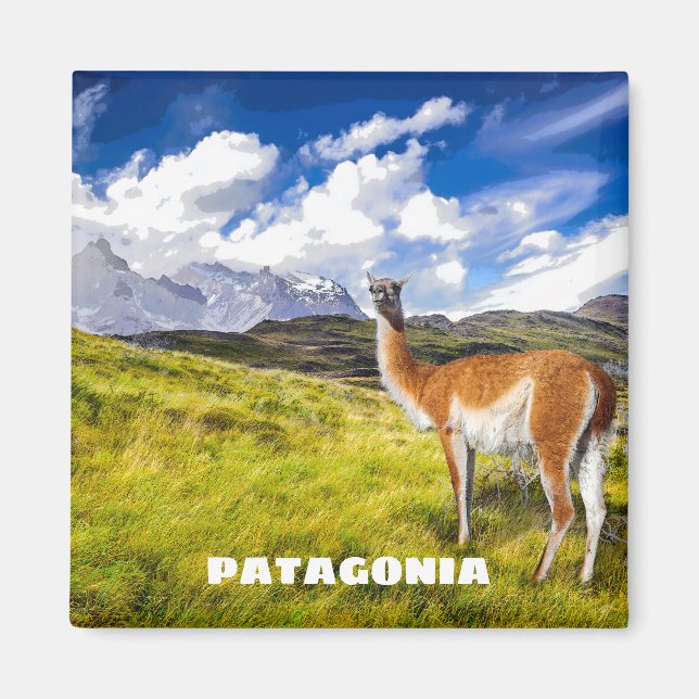 Patagonia Magnet (Framsidan)
