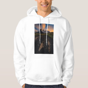 Patagonia Sweatshirt