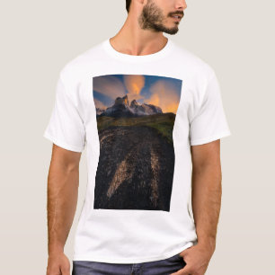 Patagonia Tee Shirt