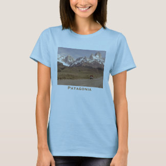 Patagonia Tee Shirt