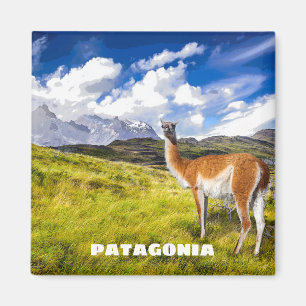 Patagoniamagnet Magnet