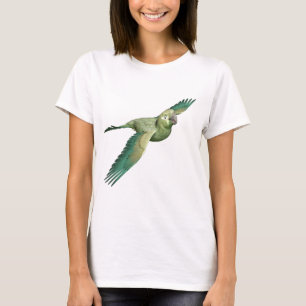 Patagonian Conure T Shirt