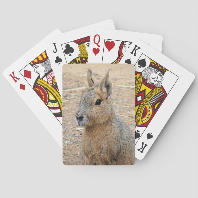 PATAGONIAN MARA CASINOKORT (Baksidan)