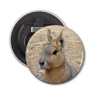 PATAGONIAN MARA FLASKÖPPNARE