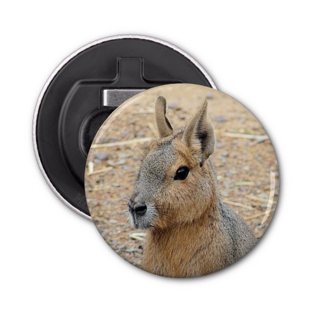 PATAGONIAN MARA FLASKÖPPNARE (Framsidan)