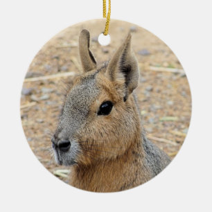 PATAGONIAN MARA JULGRANSPRYDNAD KERAMIK