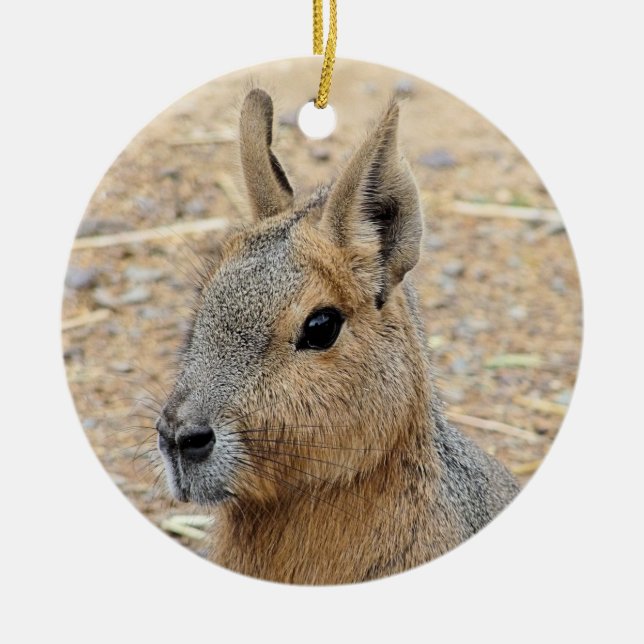PATAGONIAN MARA JULGRANSPRYDNAD KERAMIK (Framsidan)